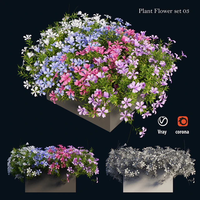 Plant Flower set 03 — Descargar