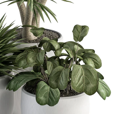 indoor Plant Set 313 - Yuka Tree and Plant Set in White pot — Ver 5