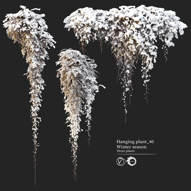 Hanging plant 40 — Descargar