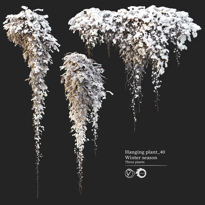 Hanging plant 40 — Ver 1