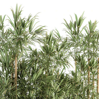 Indoor Plant Set 144 - Bamboo in Plant Box — Ver 4