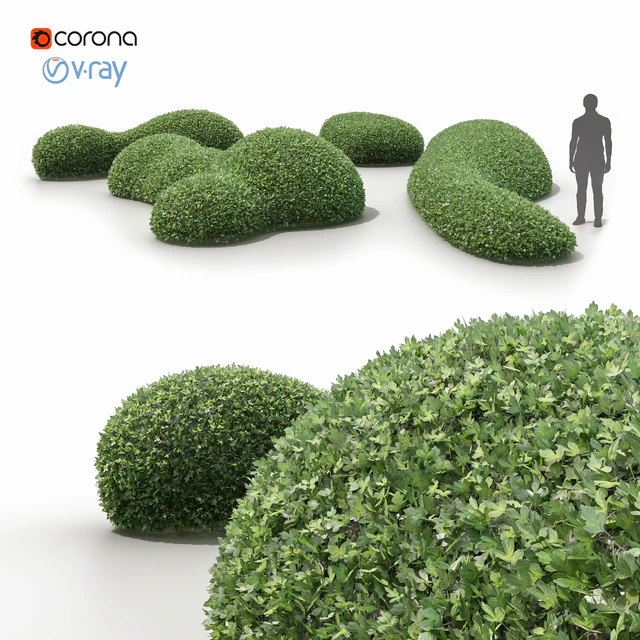 Topiary bushes / Topiary bushes — Descargar