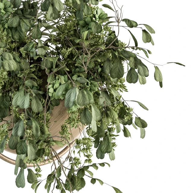 indoor Plant Set 283 - Hanging Plants — Descargar