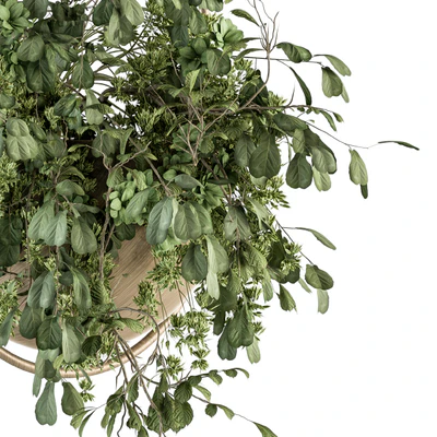 indoor Plant Set 283 - Hanging Plants — Ver 3