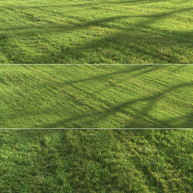 Summer grass — Скачать