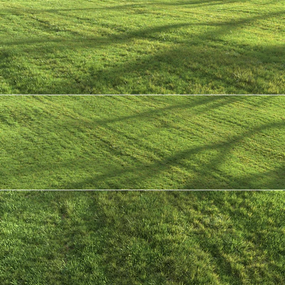 Summer grass — Вид 1