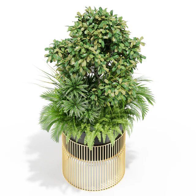 Plants collection 432 — Скачать