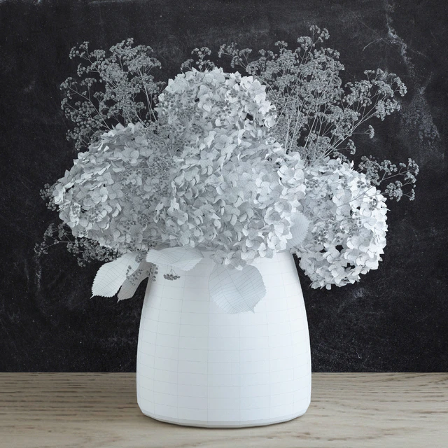 Bouquet of Gypsophila with Hyndrangeas — Скачать