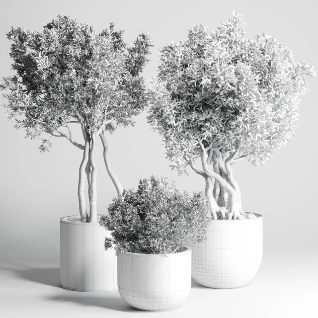 Collection Outdoor Indoor plant 77 concrete dirt vase pot tree bush — Скачать