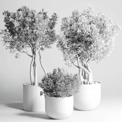 Collection Outdoor Indoor plant 77 concrete dirt vase pot tree bush — Вид 4