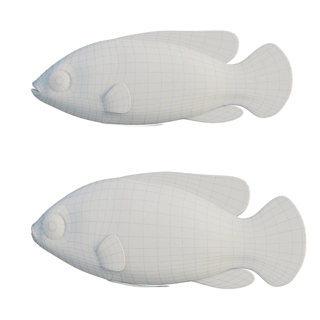 African jewel fish — Descargar