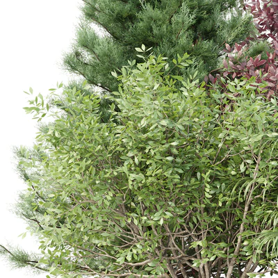 Garden collection vol 196 — Ver 4