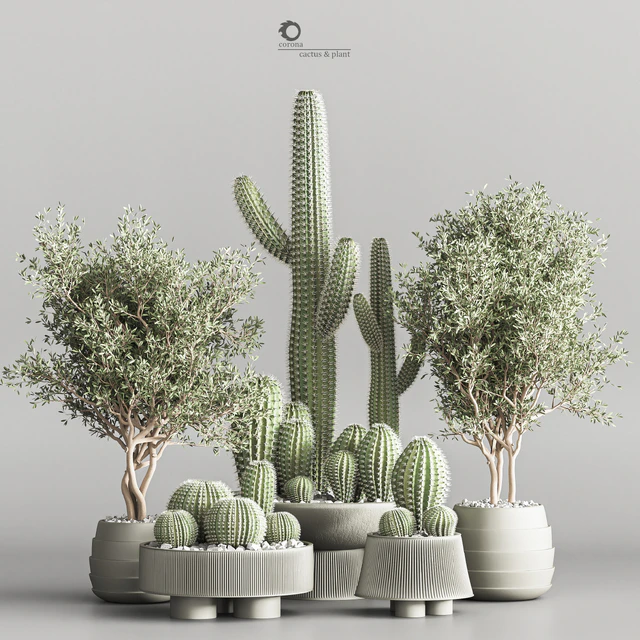 Cactus & plant vol 01 — Descargar