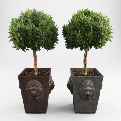 Ornamental trees 2 — Ver 1