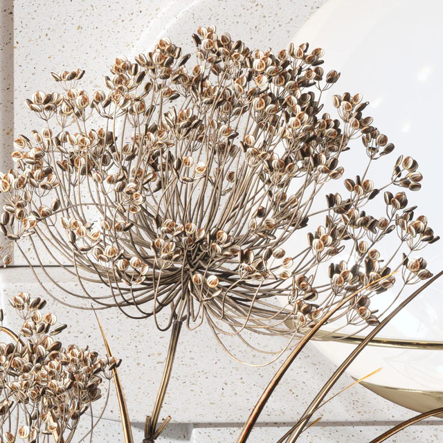 Decorative Set 04 with Carex Riparia and graceful Heracleum — Скачать