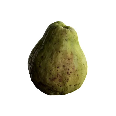 guava 001 — Descargar