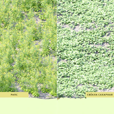 Vegetable garden | Kitchen garden.vol 4 — Ver 5