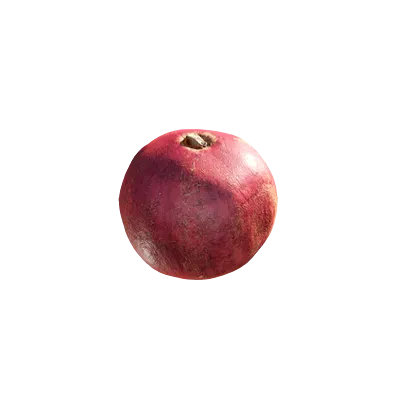 pomegranate 001 — Descargar