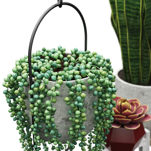Plant set 2 — Скачать