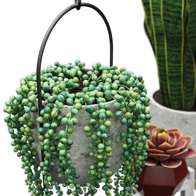 Plant set 2 — Вид 4