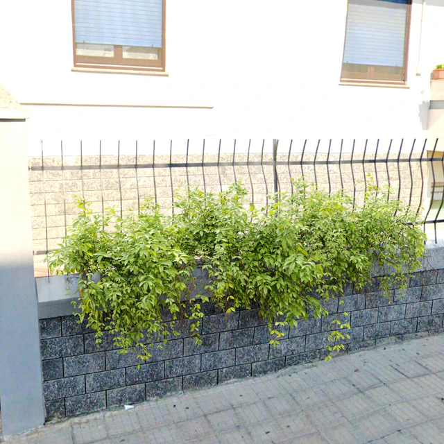 Hanging Plant 21 — Descargar