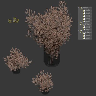 Dry plants set. 3 models — Ver 5