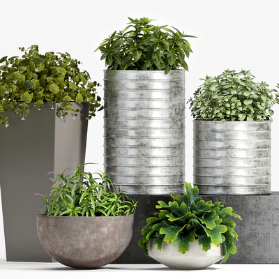 PLANT SET -83 — Ver 1
