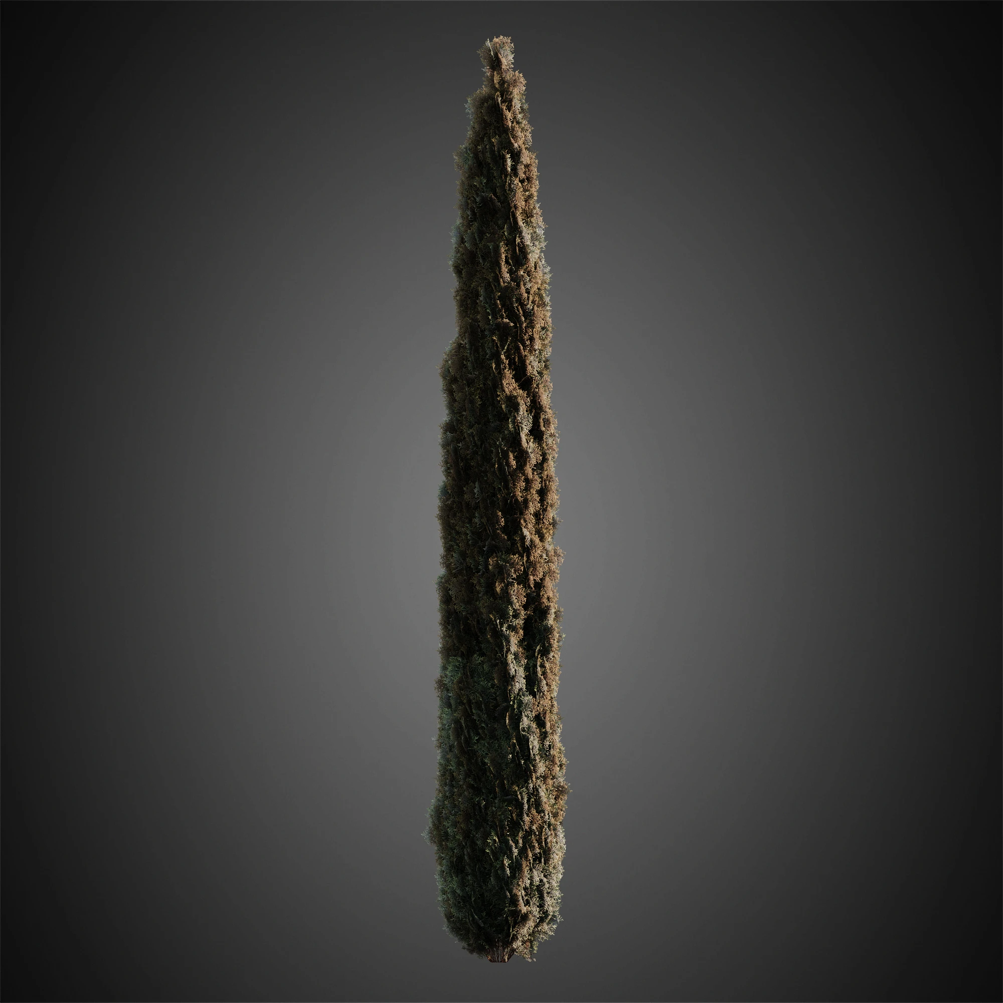 002 — Descargar