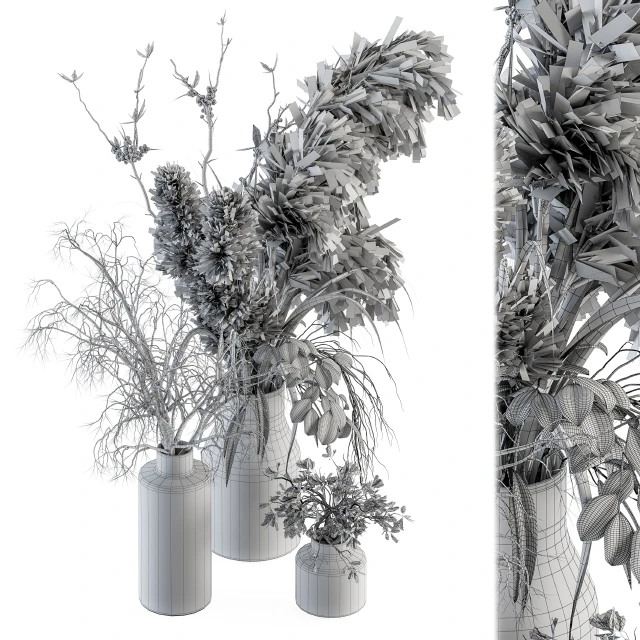 Dry plants 70 - Dried Pampas Set — Descargar