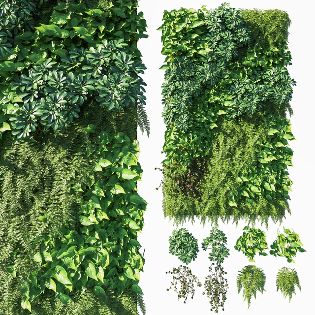 Vertical garden  Green wall 03 — Скачать