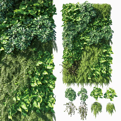 Vertical garden  Green wall 03 — Скачать