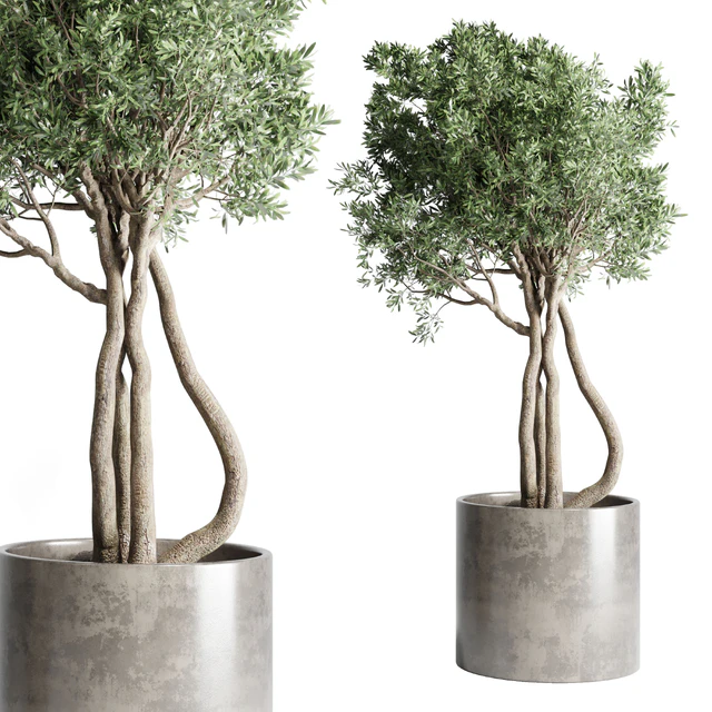 Collection Outdoor Indoor plant 53 concrete dirt vase pot tree bush — Descargar