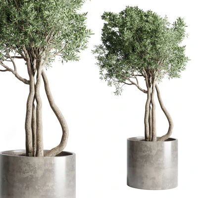 Collection Outdoor Indoor plant 53 concrete dirt vase pot tree bush — Ver 3