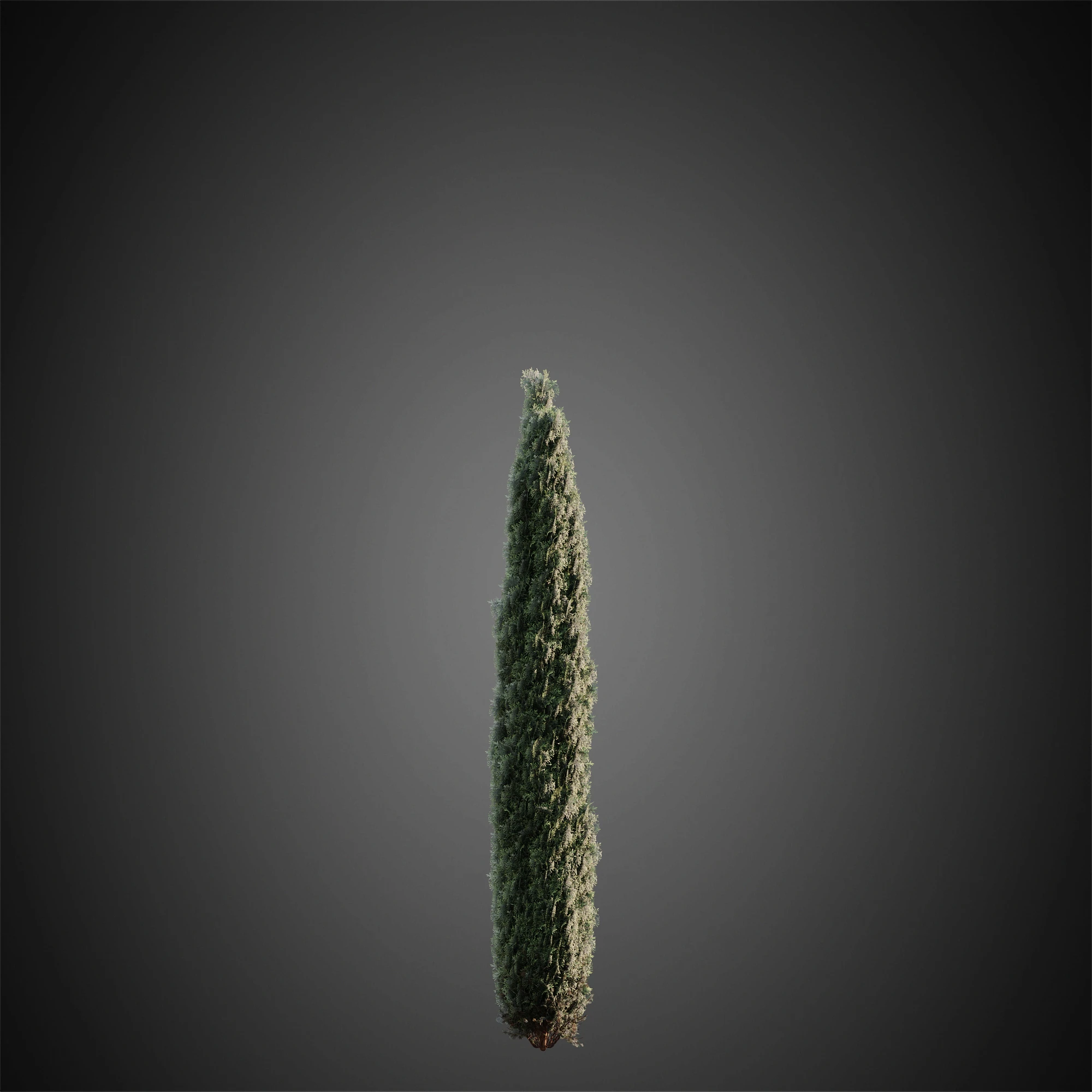 007 — Descargar
