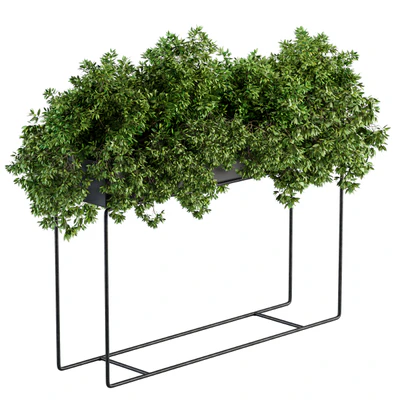 Black Box Plants on stand - Set 80 — Ver 1