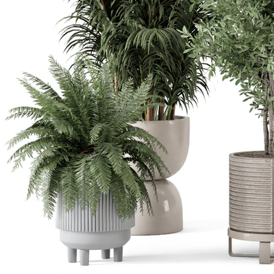 Indoor Plants in Ferm Living Bau Pot Large - Set 362 — Вид 7