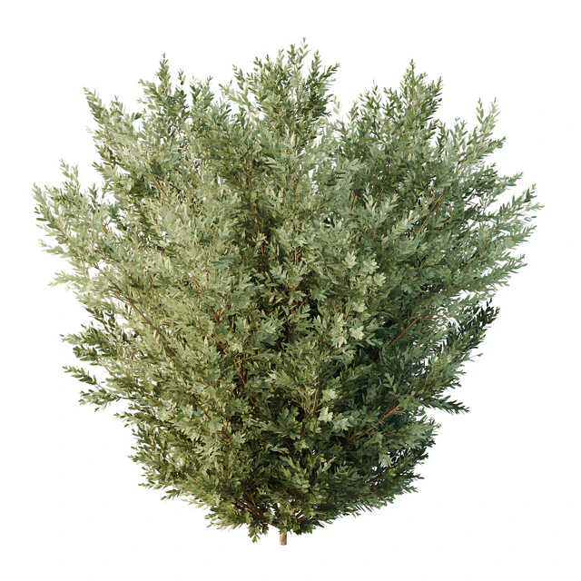 HQ Tree and bush garden box outdoor VOL 27 — Descargar