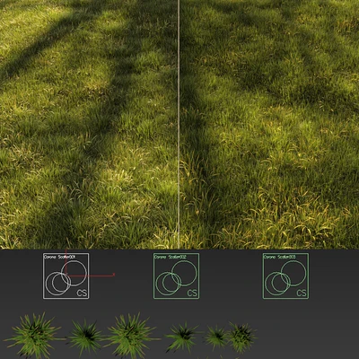 Grass Landscape — View 2