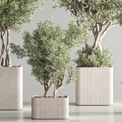 Indoor Plant Set 82 — Ver 4