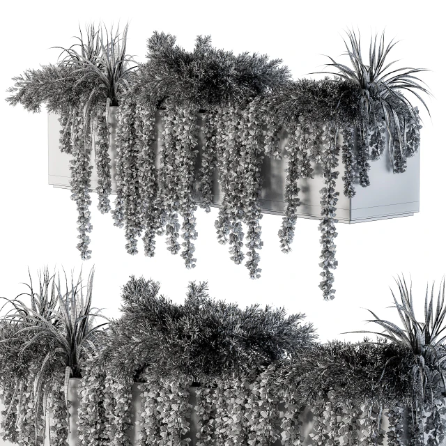 ivy plants in box - Outdoor Set 62 — Descargar