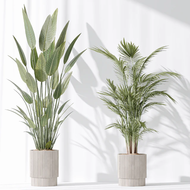 Indoor plant set 31 — Скачать