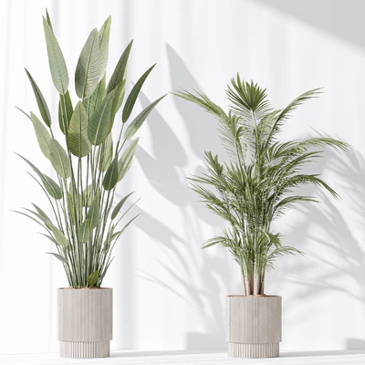 Indoor plant set 31 — Вид 4