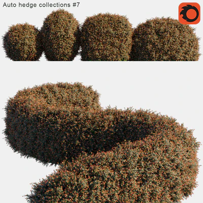 Auto hedge collections #7 — Вид 1
