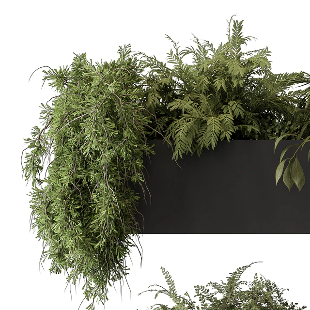indoor Plant Set 297 - Hanging Plants — Descargar