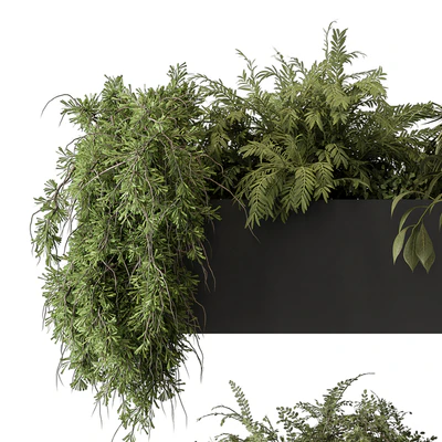 indoor Plant Set 297 - Hanging Plants — Ver 3