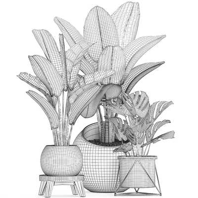 Collection of small plants in modern round pots with Banana palm, strelitzia, monstera, luxury. Set 465. — Ver 4