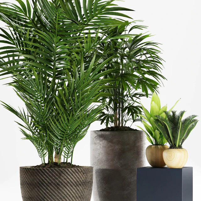PLANTS 172 — Скачать