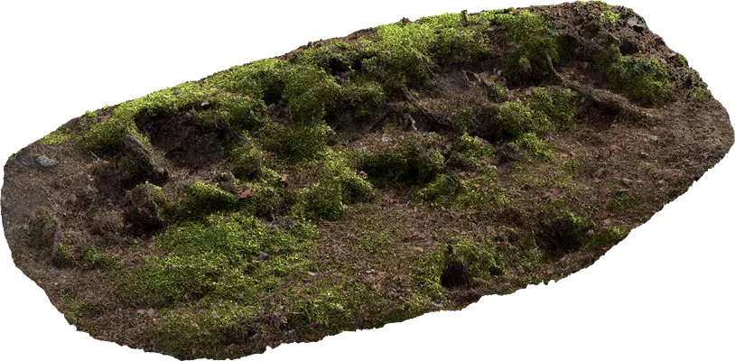 mossy embankment 008 — Скачать