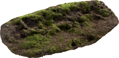 mossy embankment 008 — Скачать