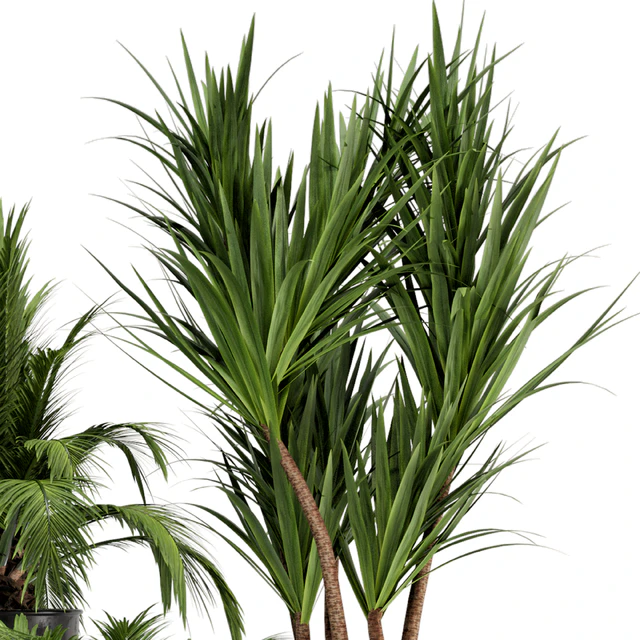 Indoor Plants in Ferm Living Bau Pot Large - Set 226 — Скачать